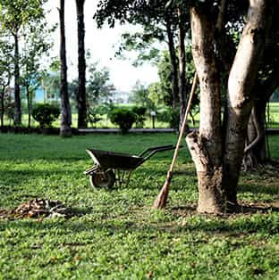 GENERAL GARDENING