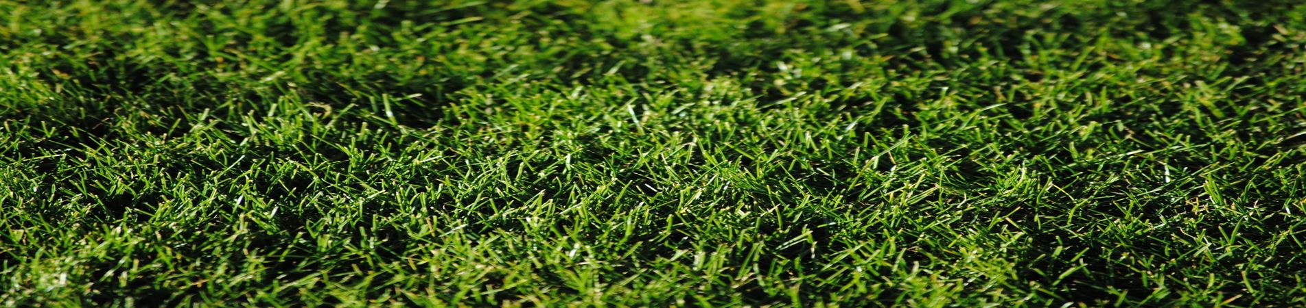 Lawn Care Lawn Care