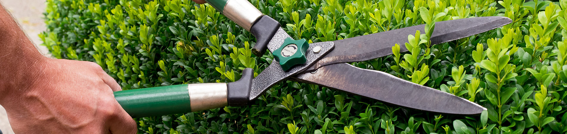 Cutting & Pruning Cutting & Pruning