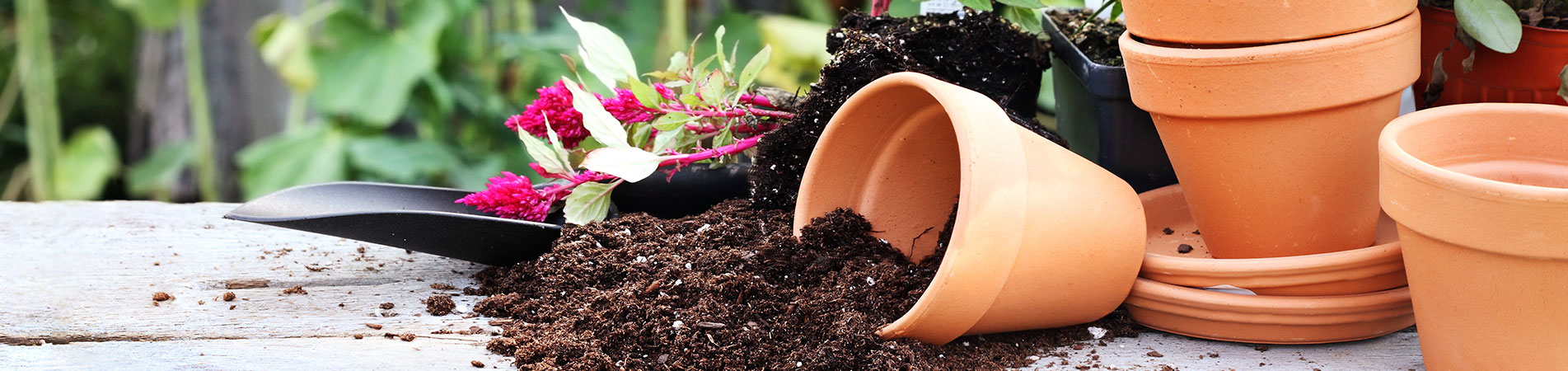 GENERAL GARDENING GENERAL GARDENING